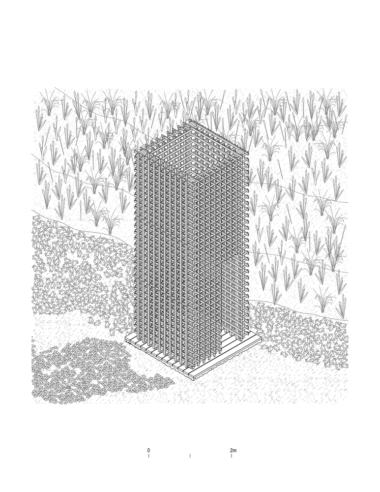 双塔与小径 · 智利废弃矿区的生态恢复之路-48