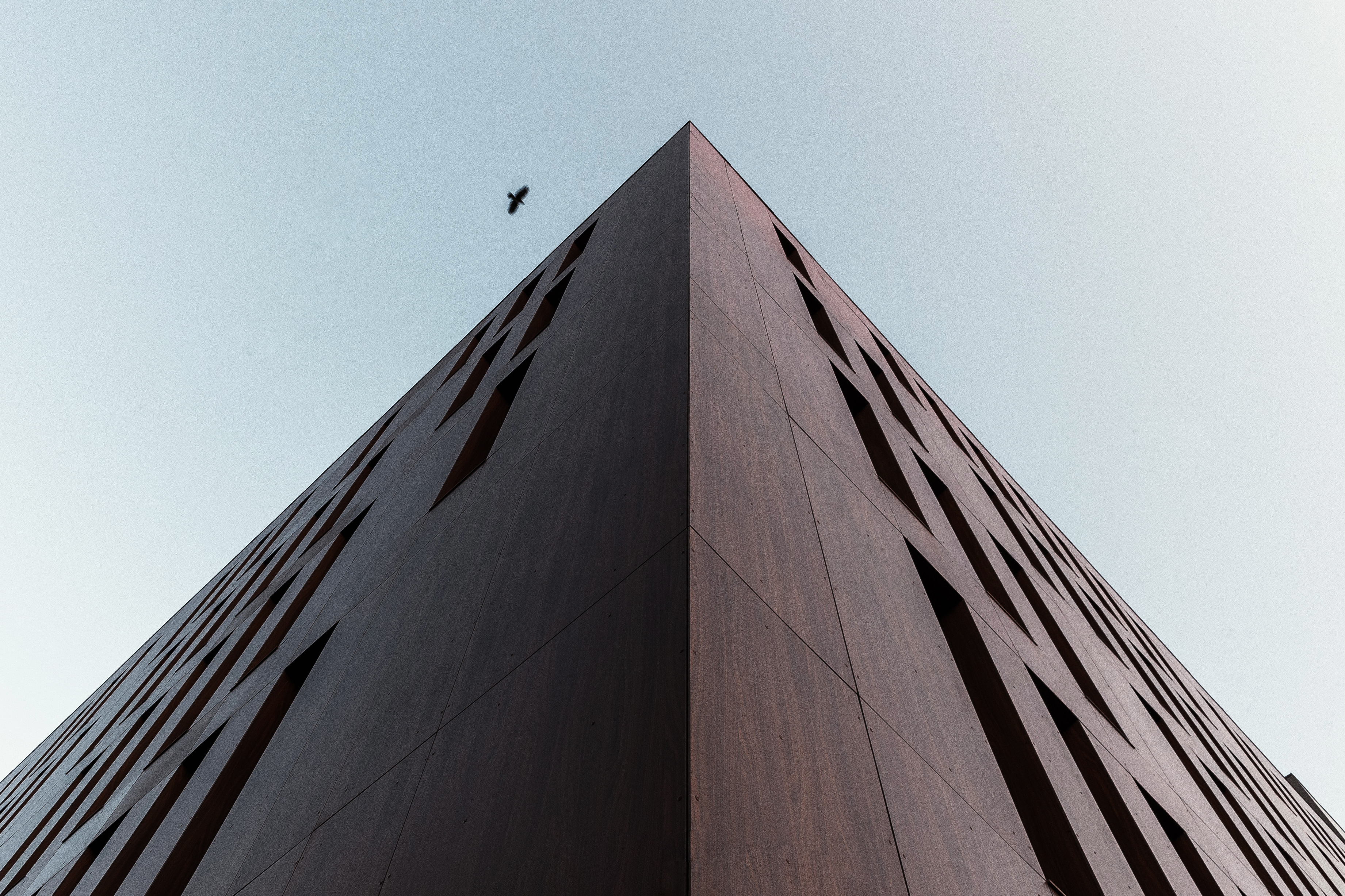 中亚风格与现代办公空间的完美结合-15