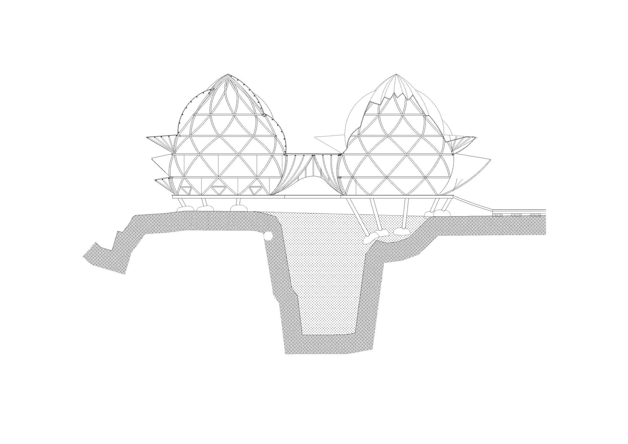 乌拉曼生态豪华度假村丨印度-47