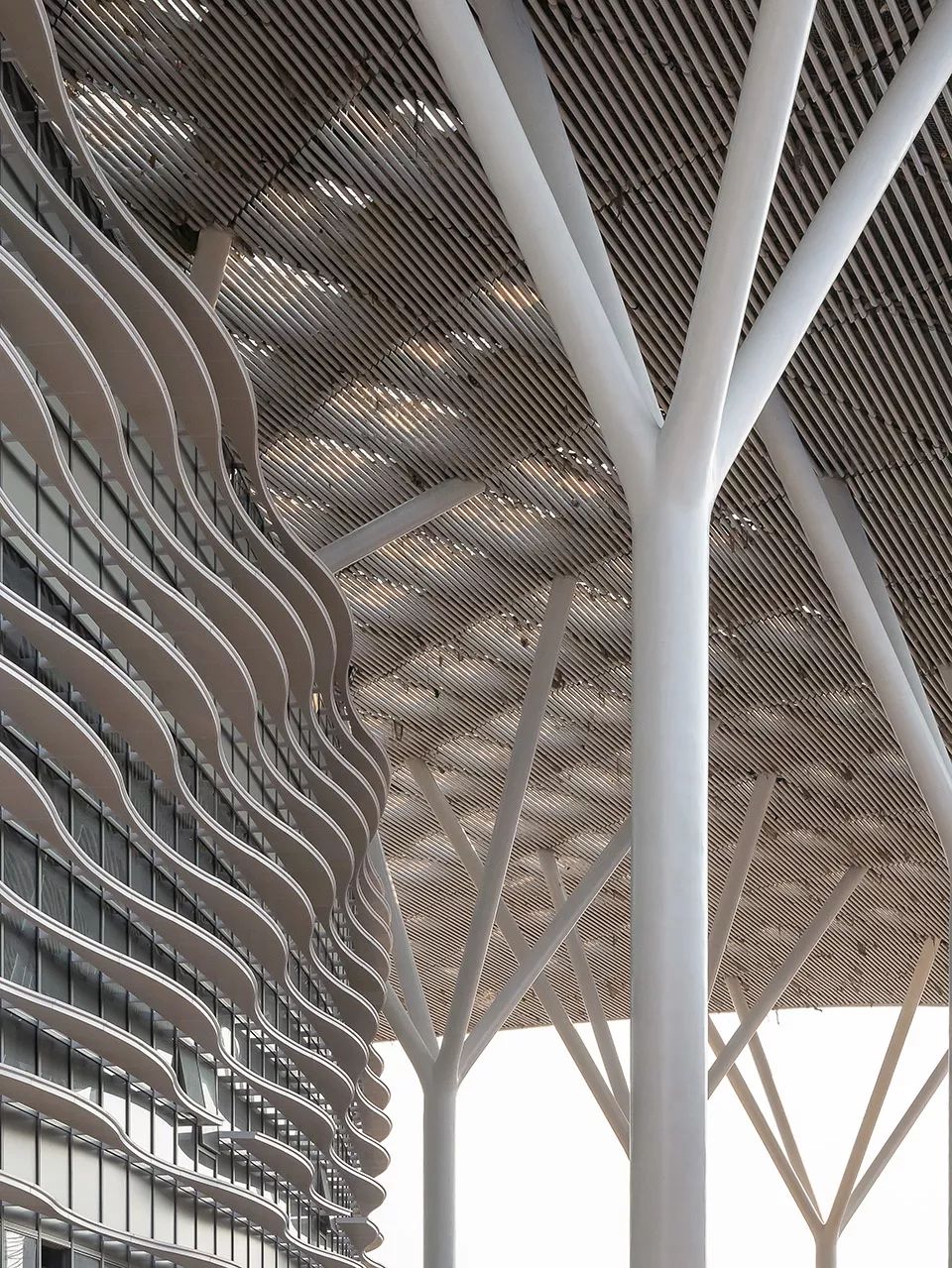 全球最大“会展新城” | 深圳国际会展中心-56