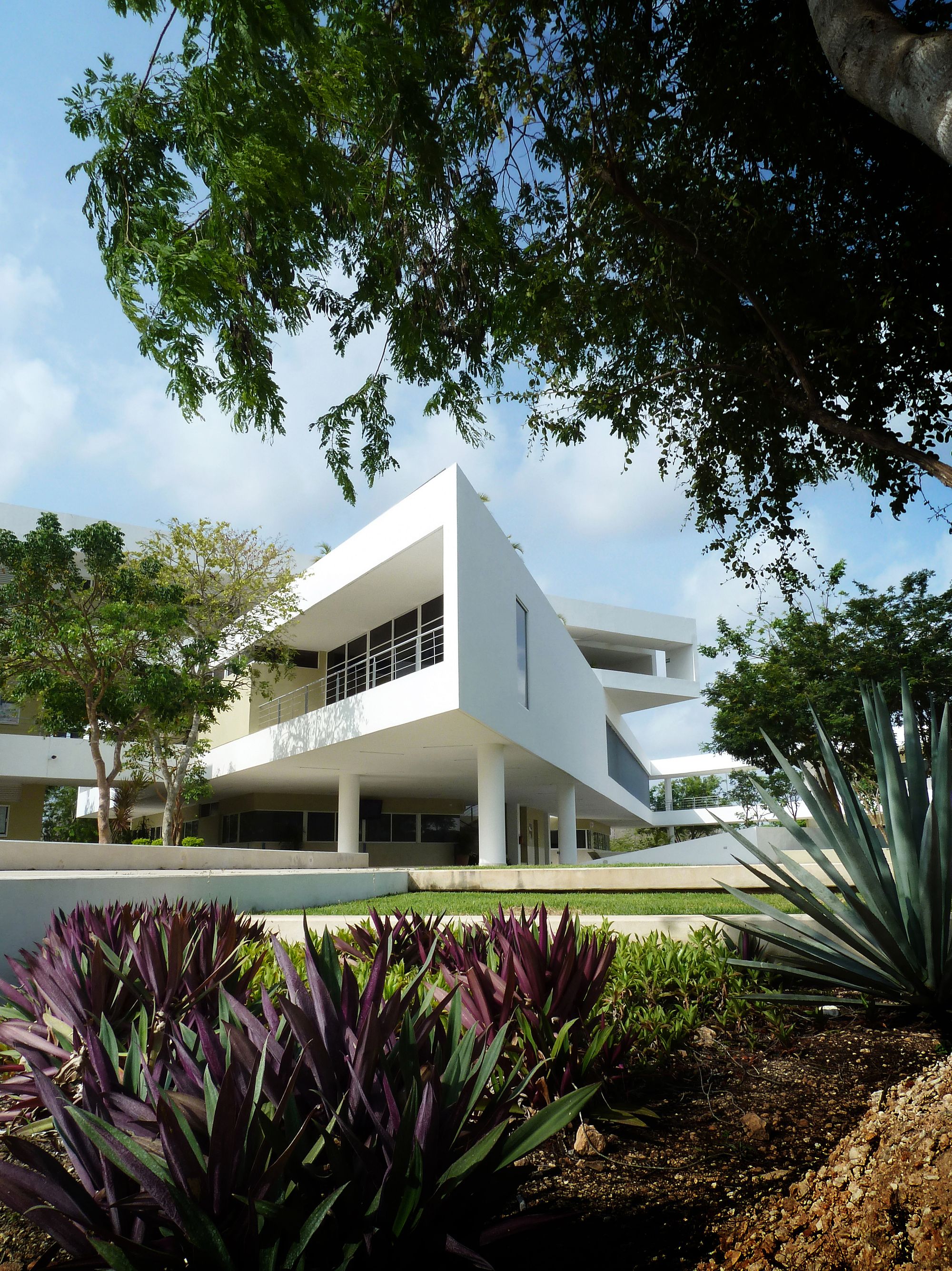 墨西哥尤卡坦自治大学教育学院 | 建筑系的 Departamento de Proyectos 设计团队-9