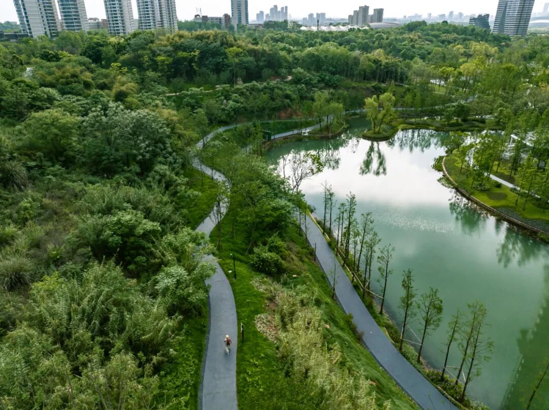 城市掌心的生态山野——麓野公园-141