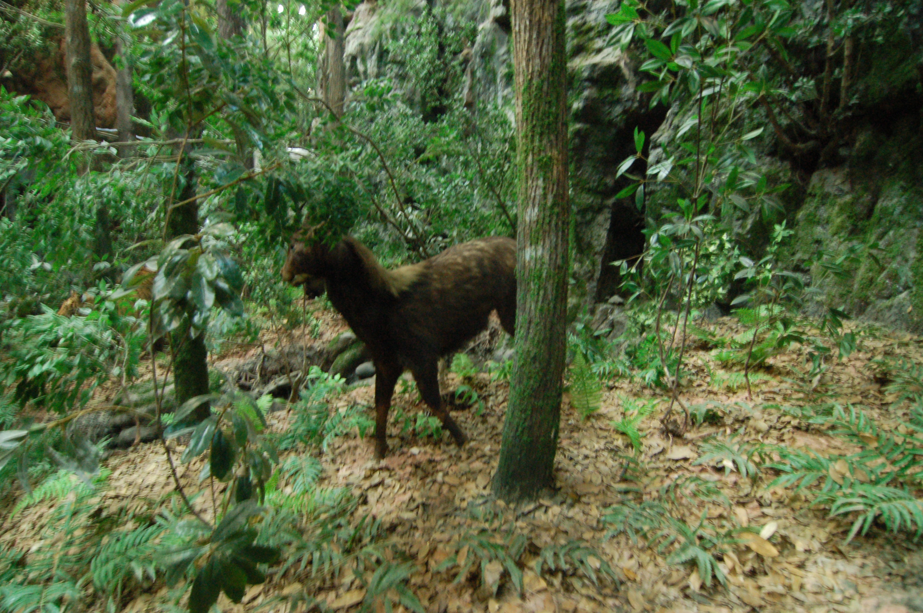 博物馆城市规划馆-2-9