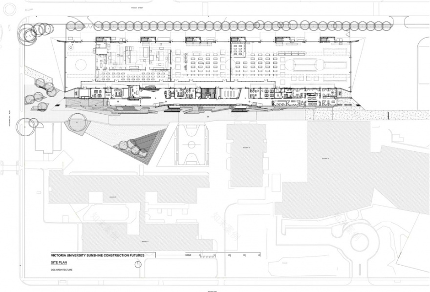 阳光建筑期货(SCF)-51