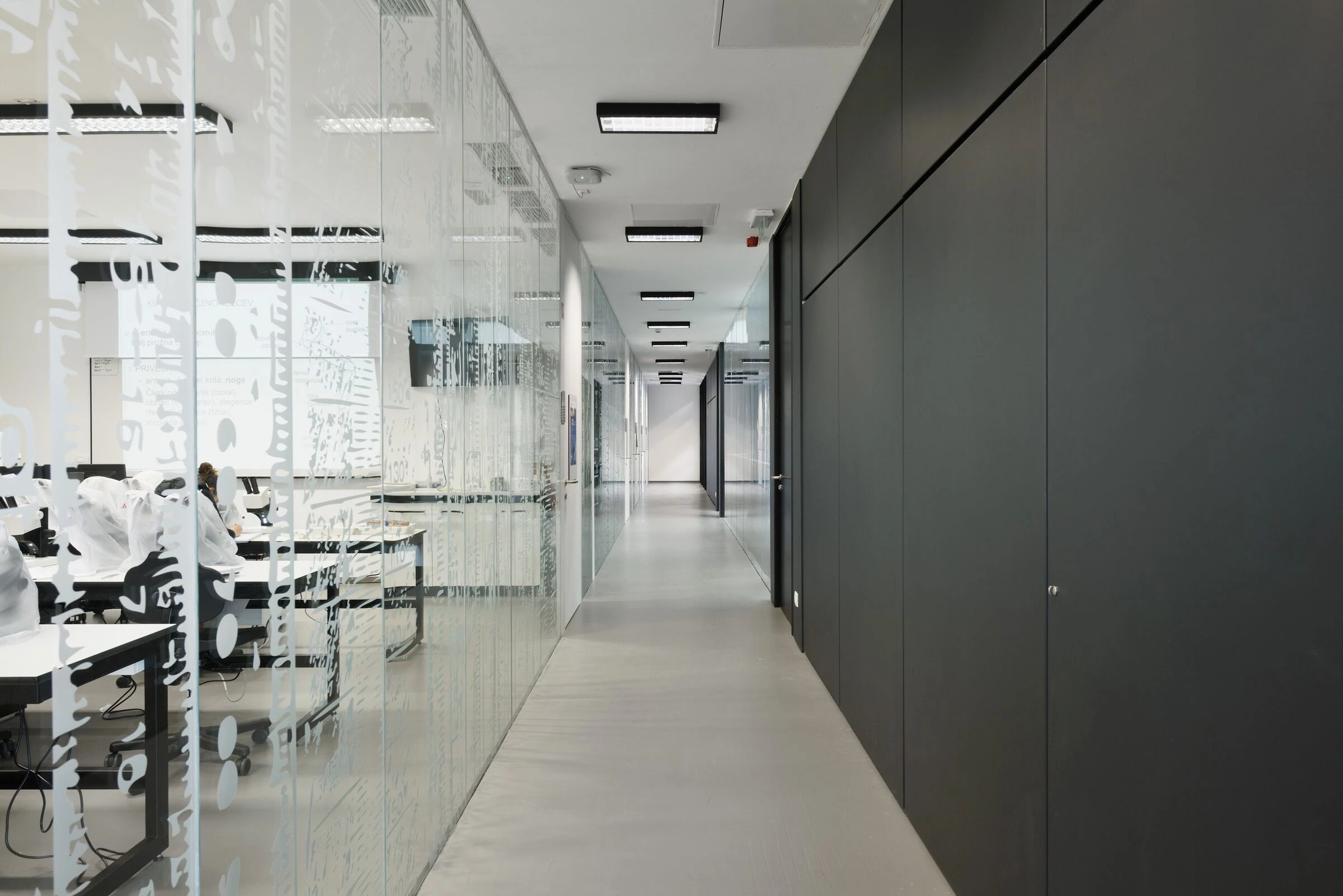 伊佐拉大学校园丨斯洛文尼亚丨Dekleva Gregoric Architects-44