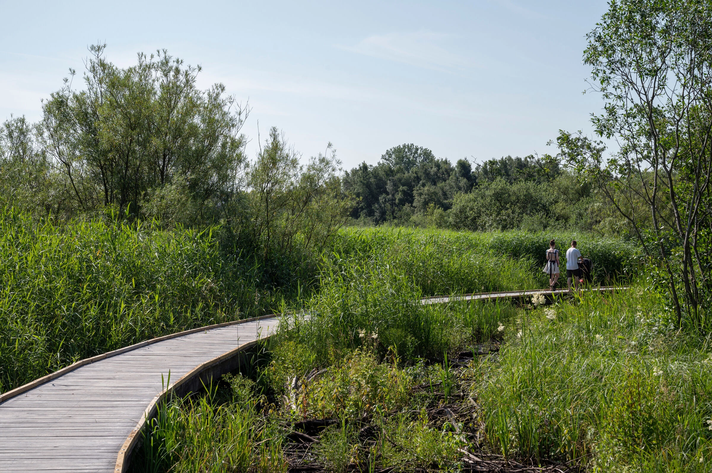 丹麦鹳草甸项目丨C.F. Møller Architects-36