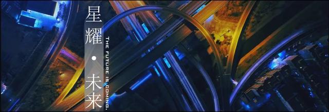 石头兄弟联创设计|天鹅飞过的地方，惊艳了时光。-18