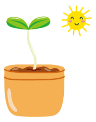 夏日生机 | DC 种夏活动中的多肉植物室内设计赏析-14