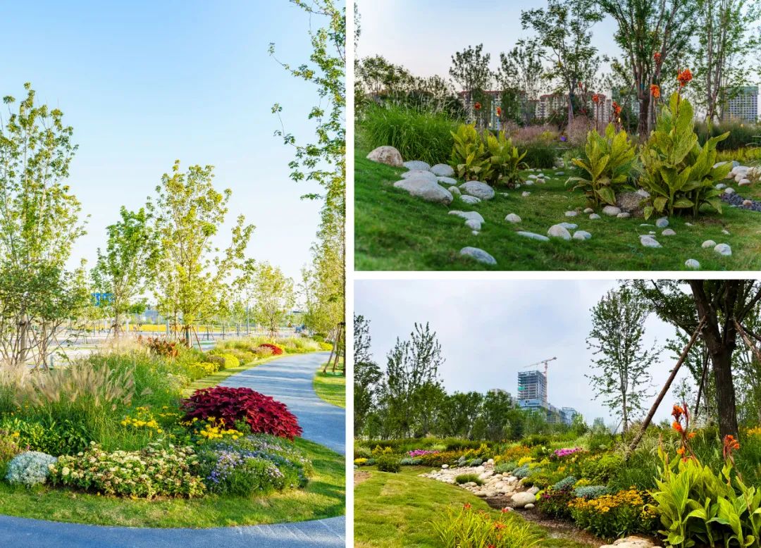 西安奥体中央公园丨中国西安丨北京市园林古建设计研究院有限公司-104