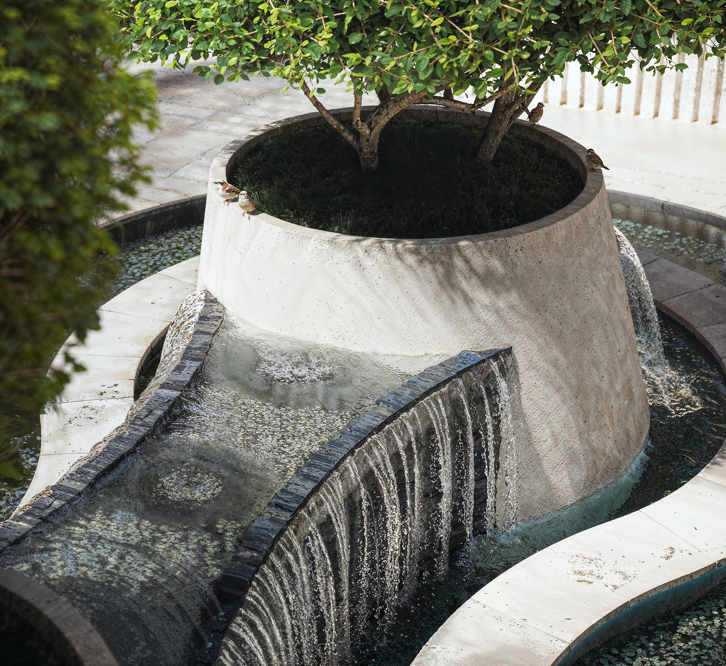 餐厅综合概念丨加拿大丨RendHaus-7