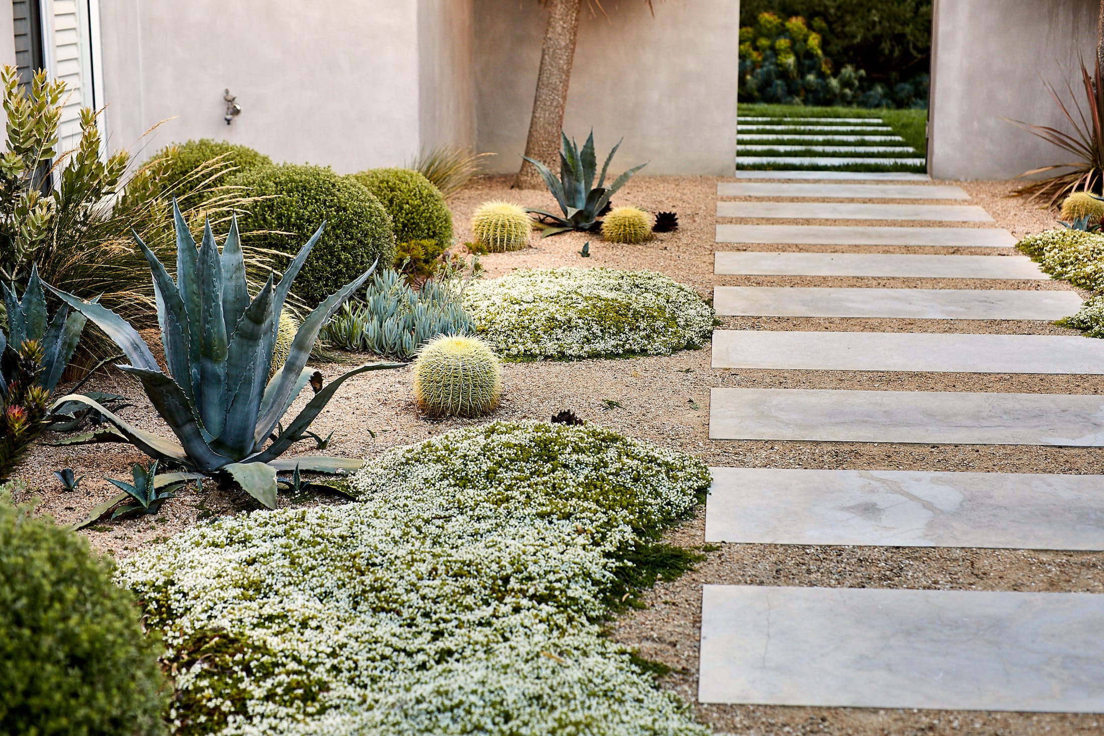 莫宁顿梦境花园-17