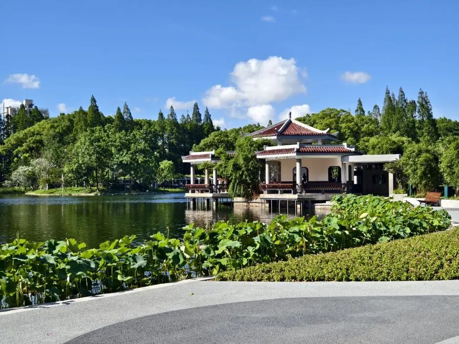 中国园林·理事专栏|“拓”之力量：杨浦公园改造纪实(三)-224