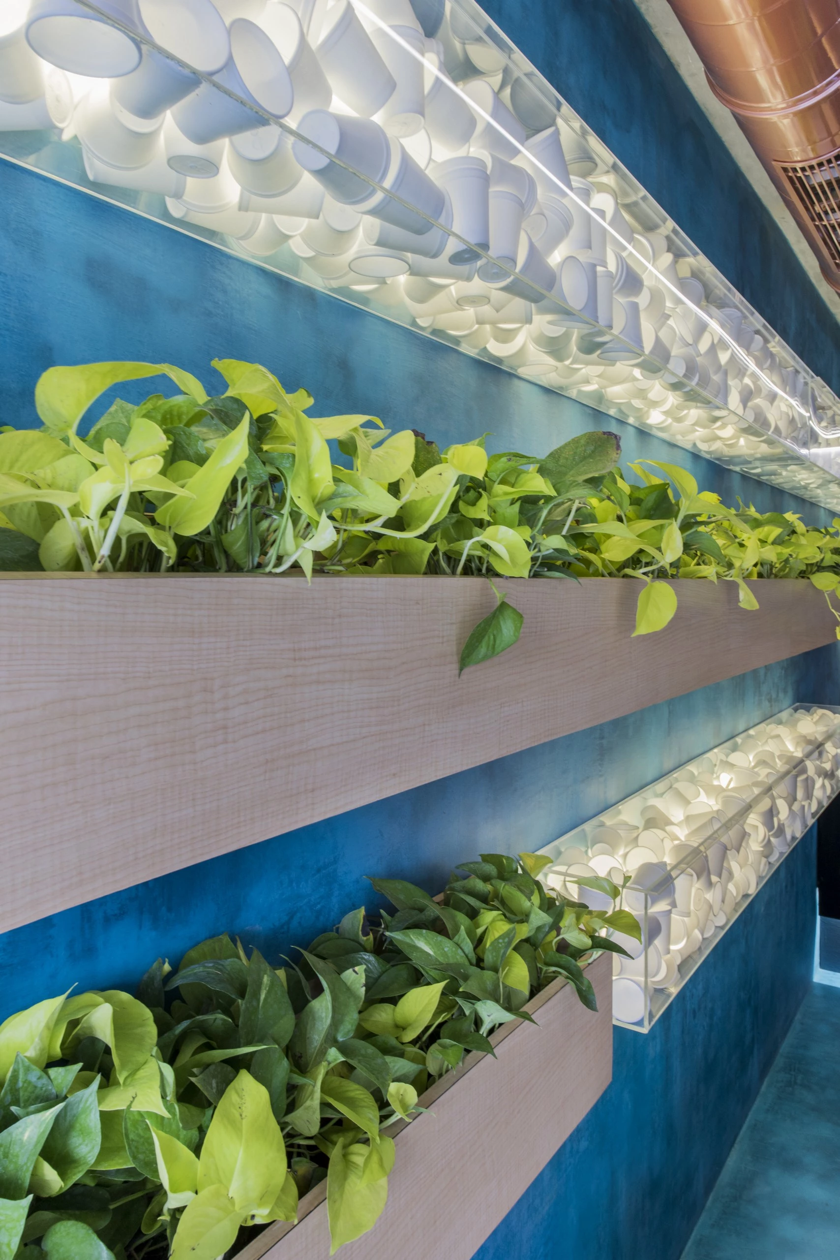 印度 Freshco 健康咖啡馆-39