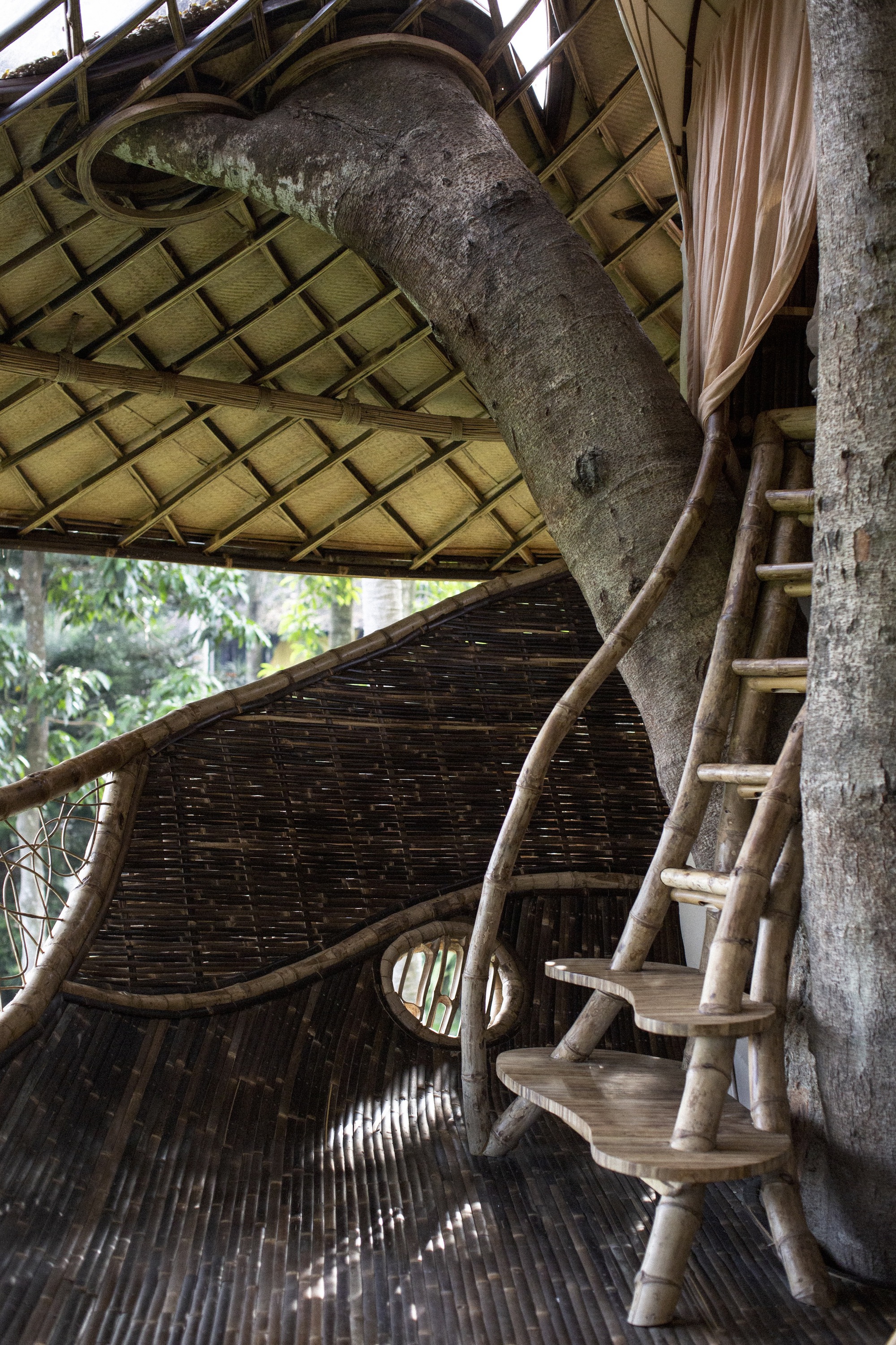 班布英达的树屋丨印度丨IBUKU-20