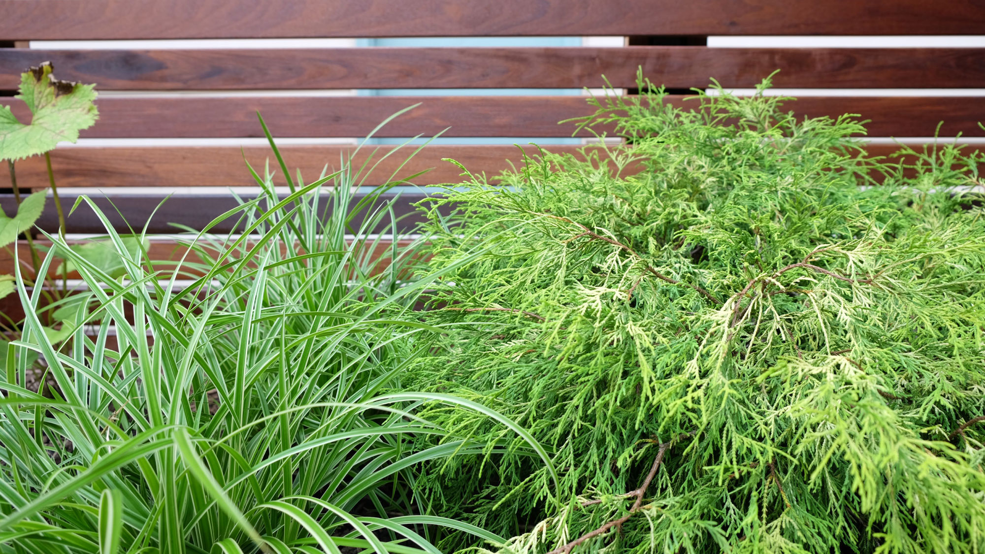 丨美国芝加哥-27