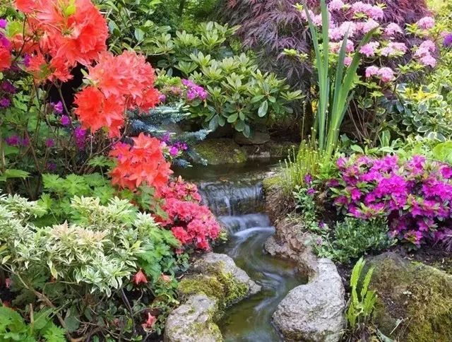 7旬夫妻用24年建绝美花园 全球花友慕名来“探花”-52