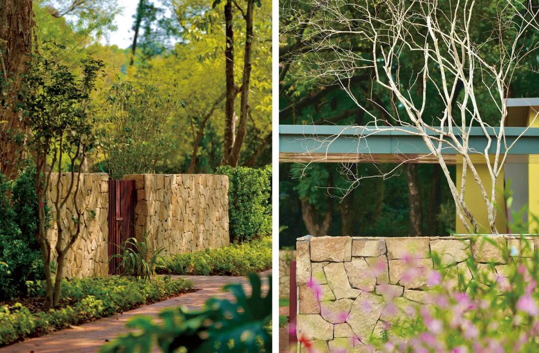 十一赏景别错过！华南国家植物园[绿美广东物种展示园]-53