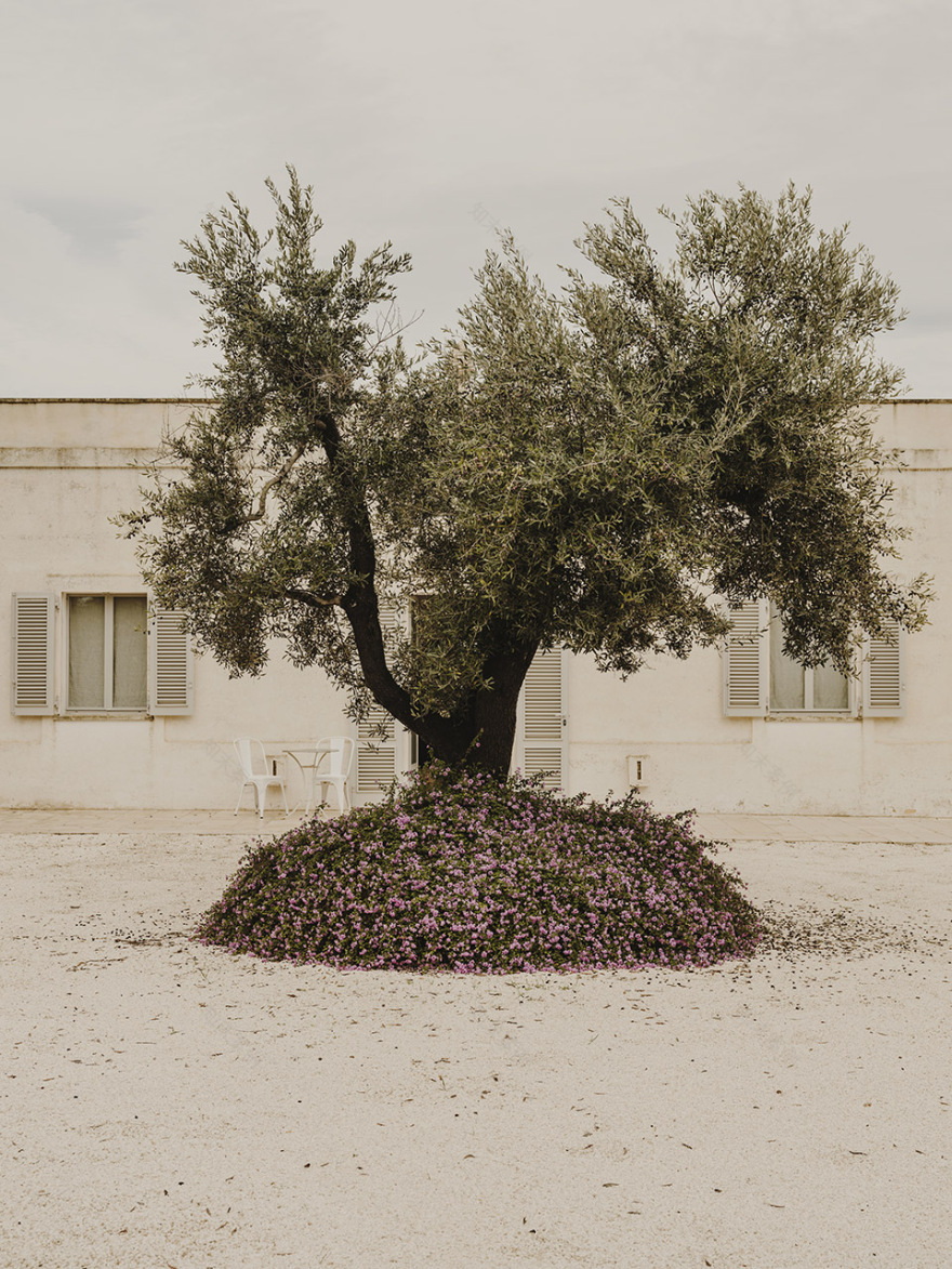 Castelluccio别墅,意大利 / Studio Andrew Trotter-63