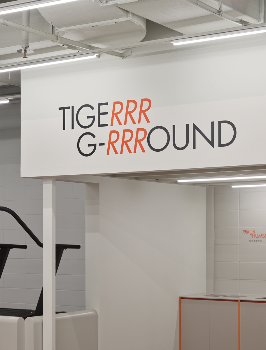 TIGER GROUND Studio Fragment-3