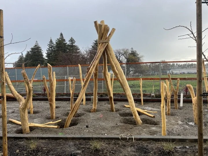 Blue Oak Landing — Fletcher Studio-54