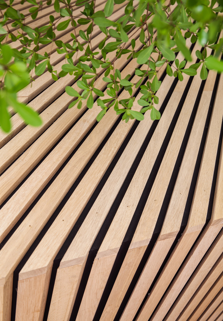 阿姆斯特丹绿意盎然的标准果汁店-8