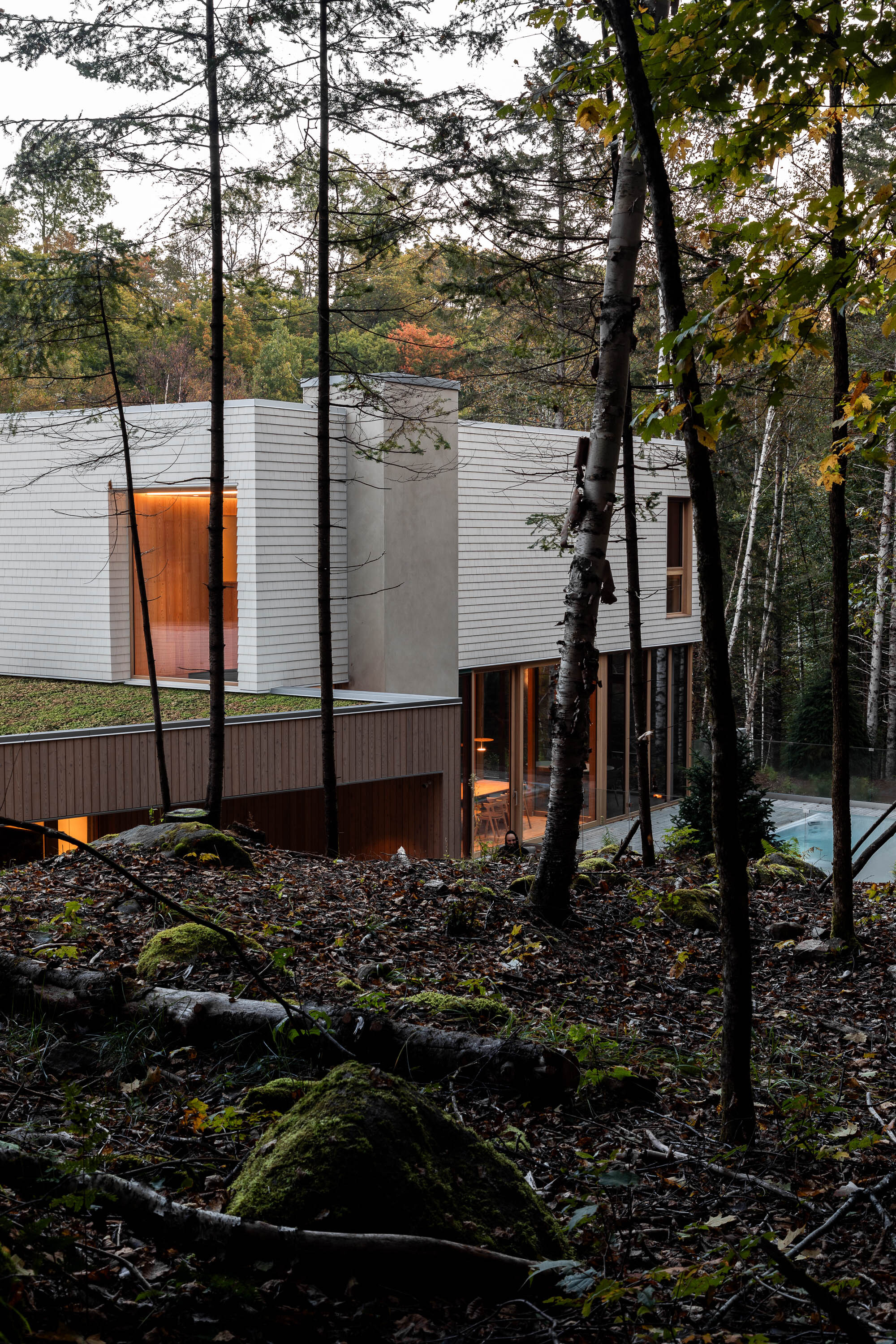 现代别墅丨加拿大丨Leopold Banchini Architects-6