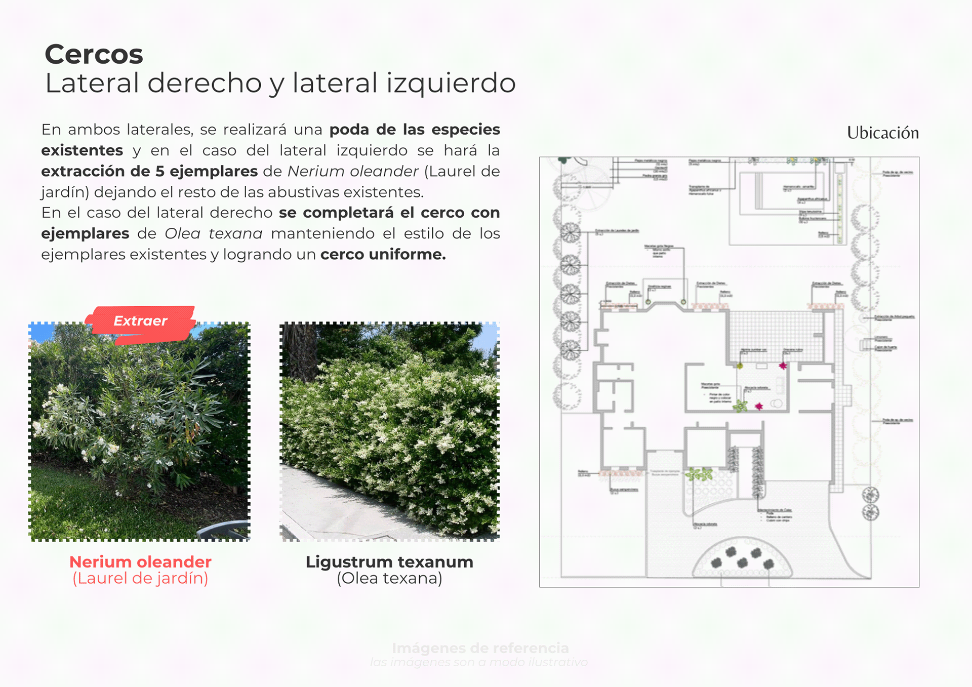 Multiespacio | Proyecto freelance-3