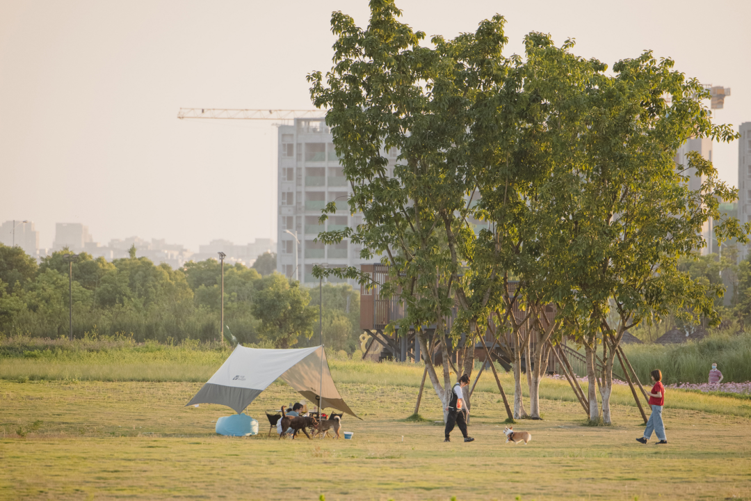 天府绿道·萌宠乐园｜良相设计-25