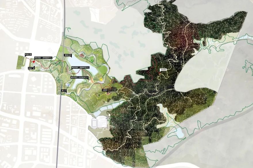 深圳最美“红飘带”绽放 创想湾区生态运动“新生摇篮”-11