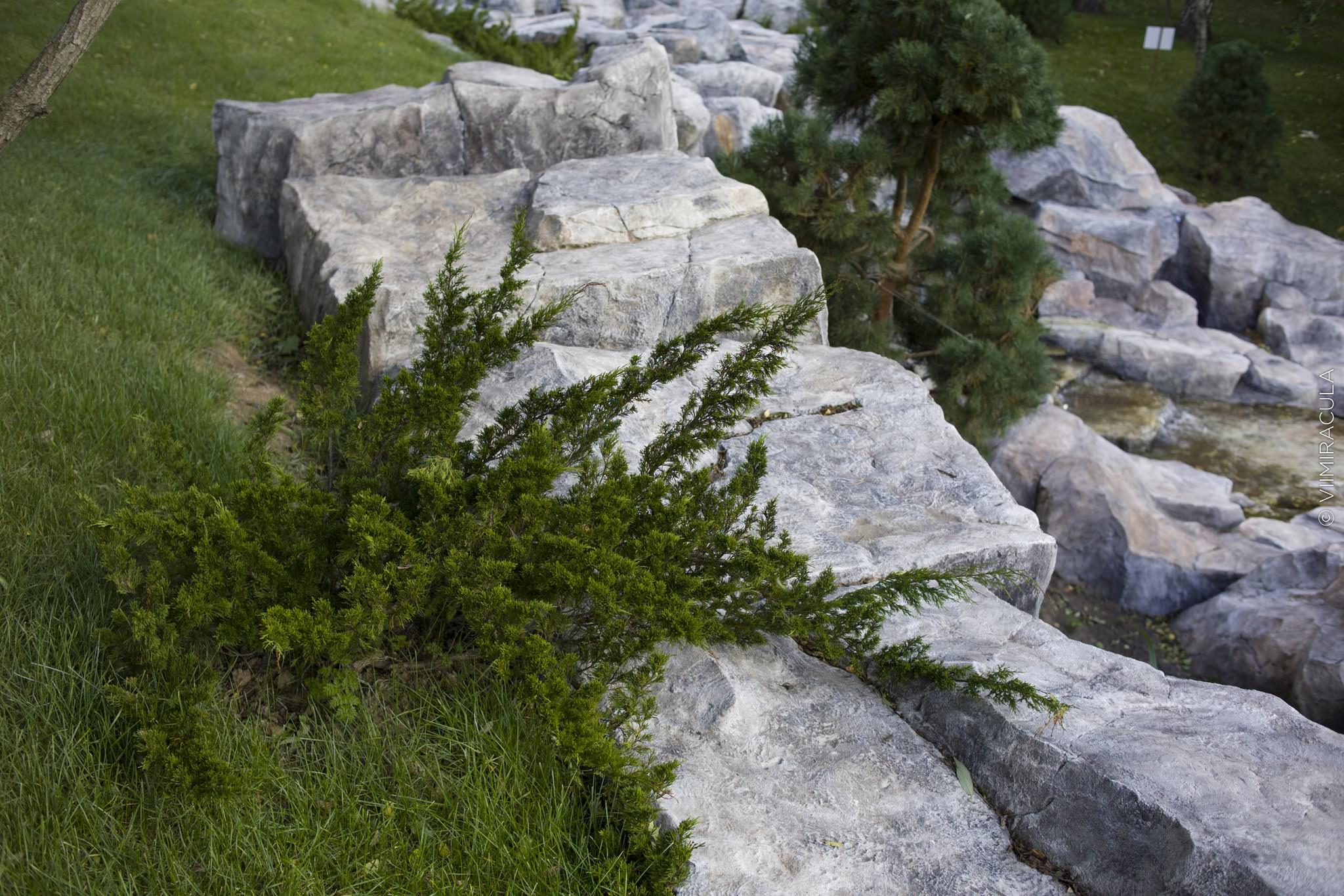 乡村俱乐部多步瀑布及景观打造项目丨VII MIRACULA工作室-24