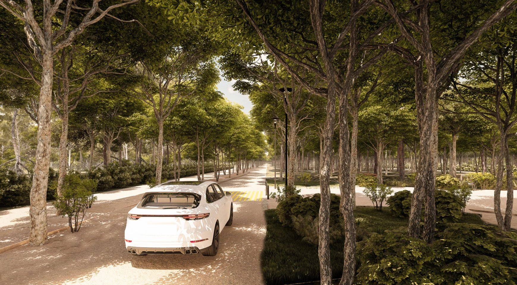 绿色梦想图卢姆丨墨西哥丨Propertiesbaymx-46