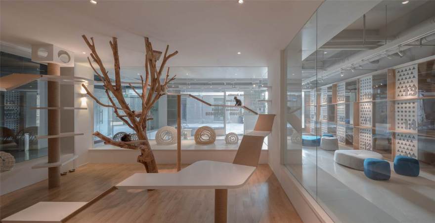 拿云设计丨Zero Pet club 宠物店-17