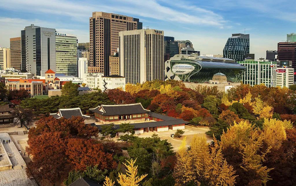 自然与时尚的平衡探索-13