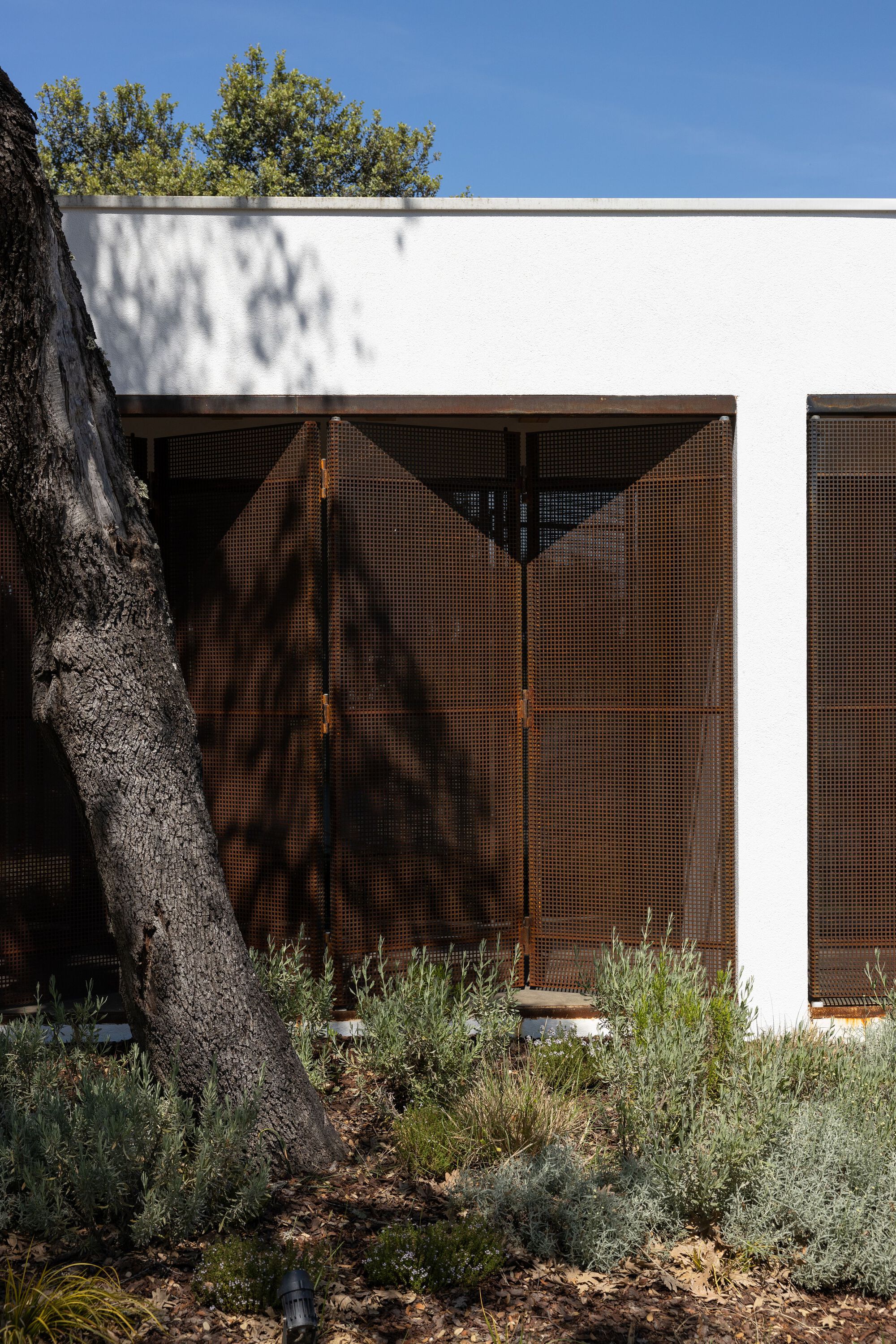 克拉托的房子丨葡萄牙丨Inês Brandão Arquitectura-19