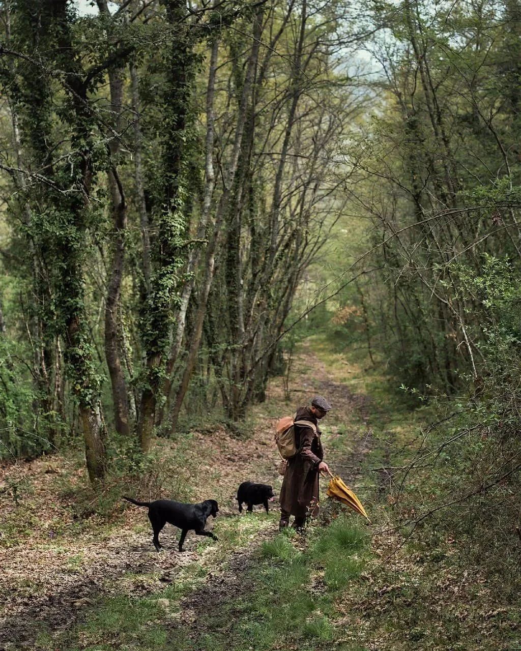 意大利千年古堡改造成奢华酒店,领略中世纪魅力-163