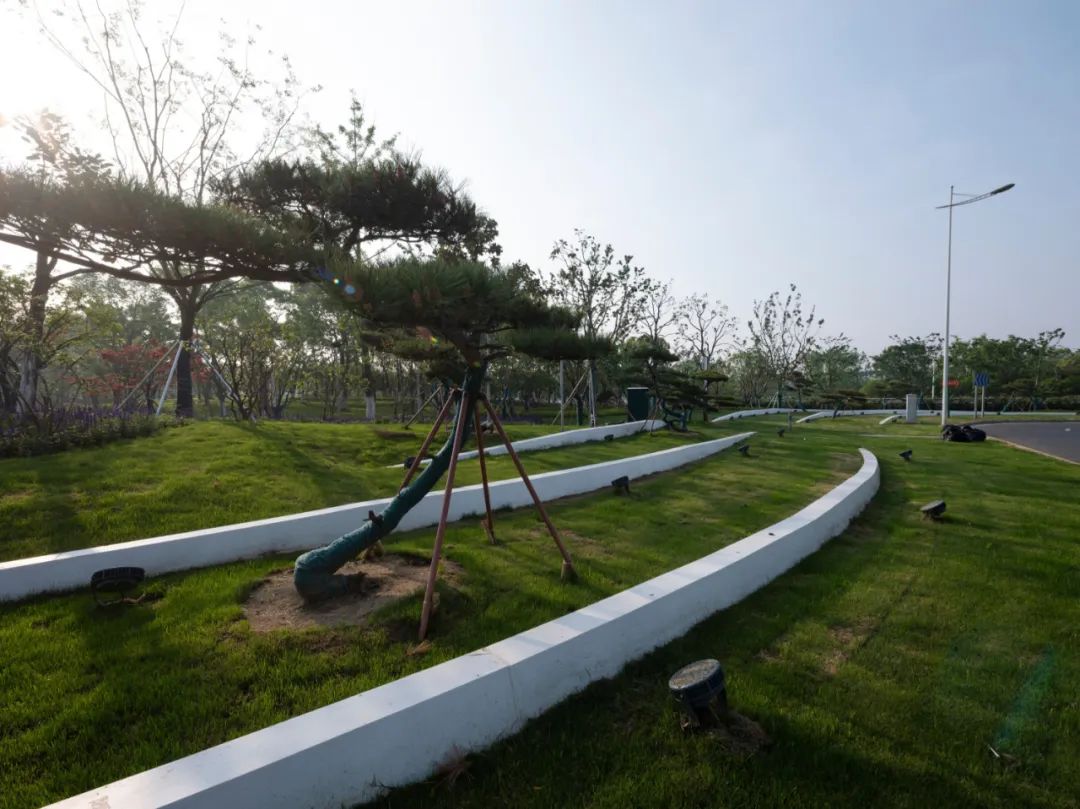 公园城市,苏州火车站震撼升级丨中国苏州丨筑园景观-33