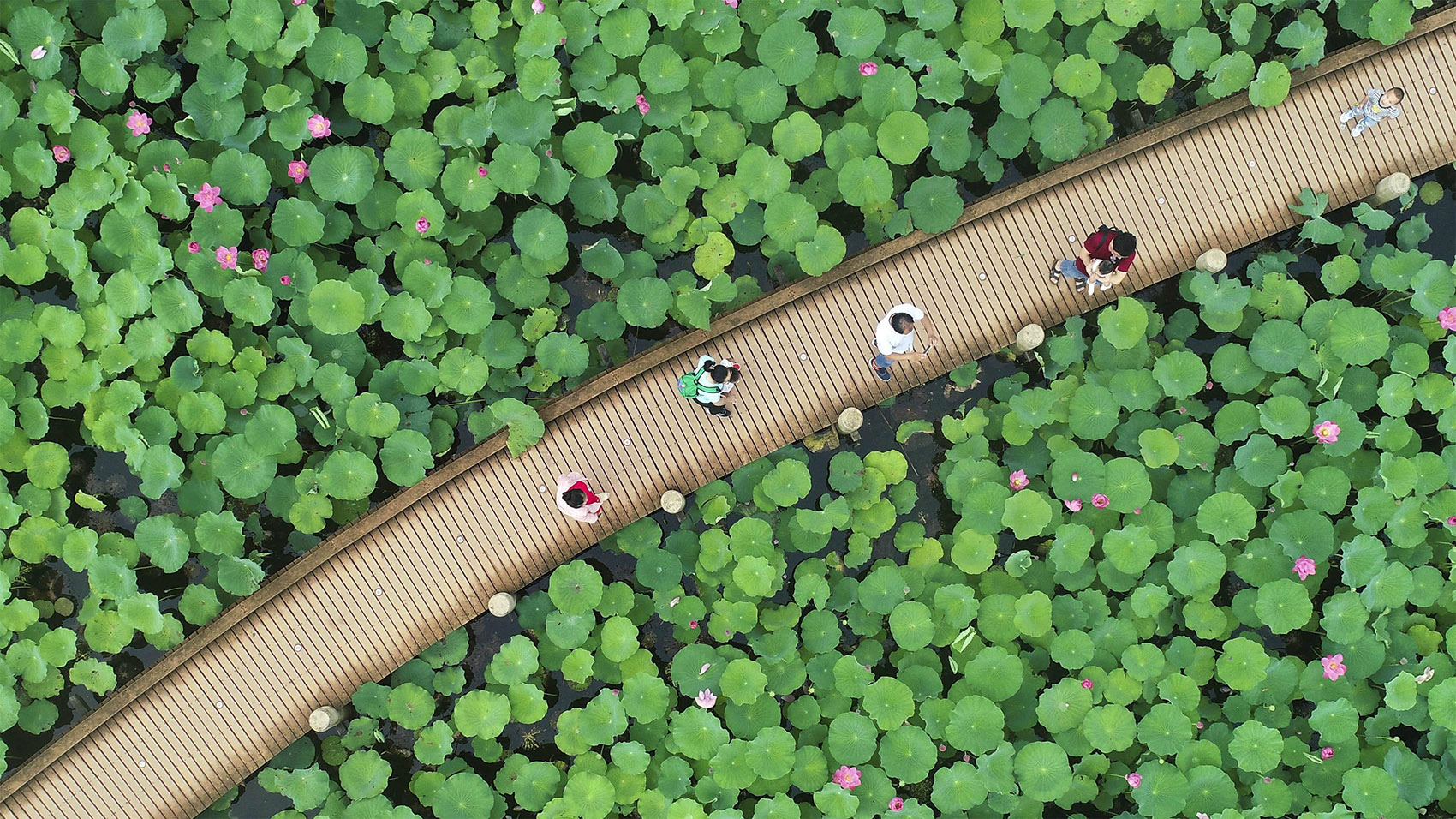 古劳水乡文化生态旅游度假区宾客中心丨中国江门丨深圳华汇设计有限公司-22