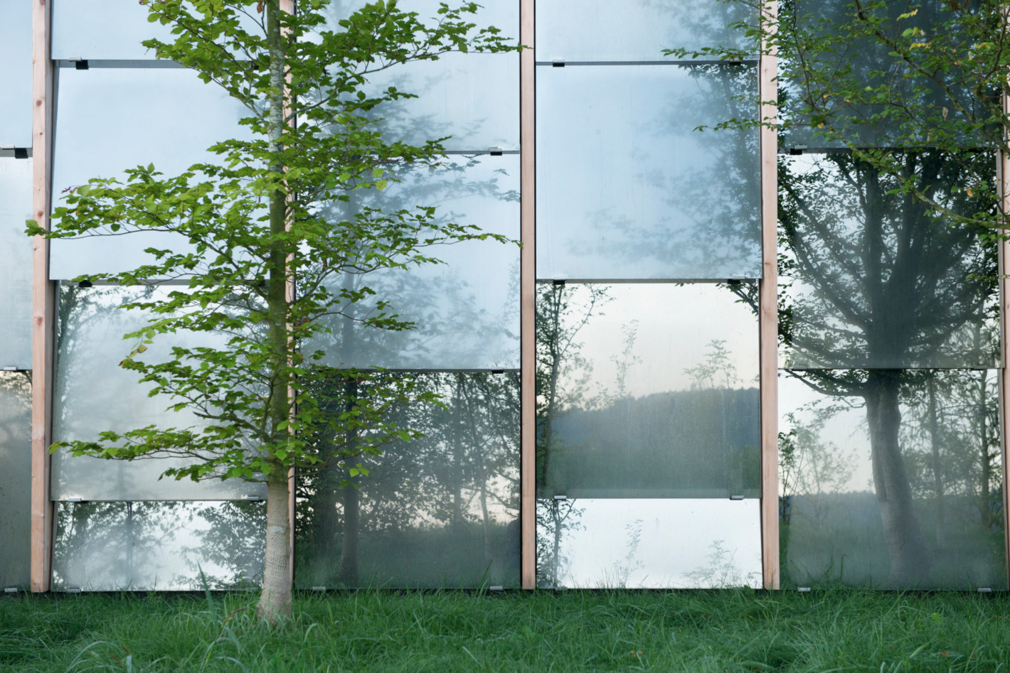 绿肺总部 | 植物动力呼吸建筑-40