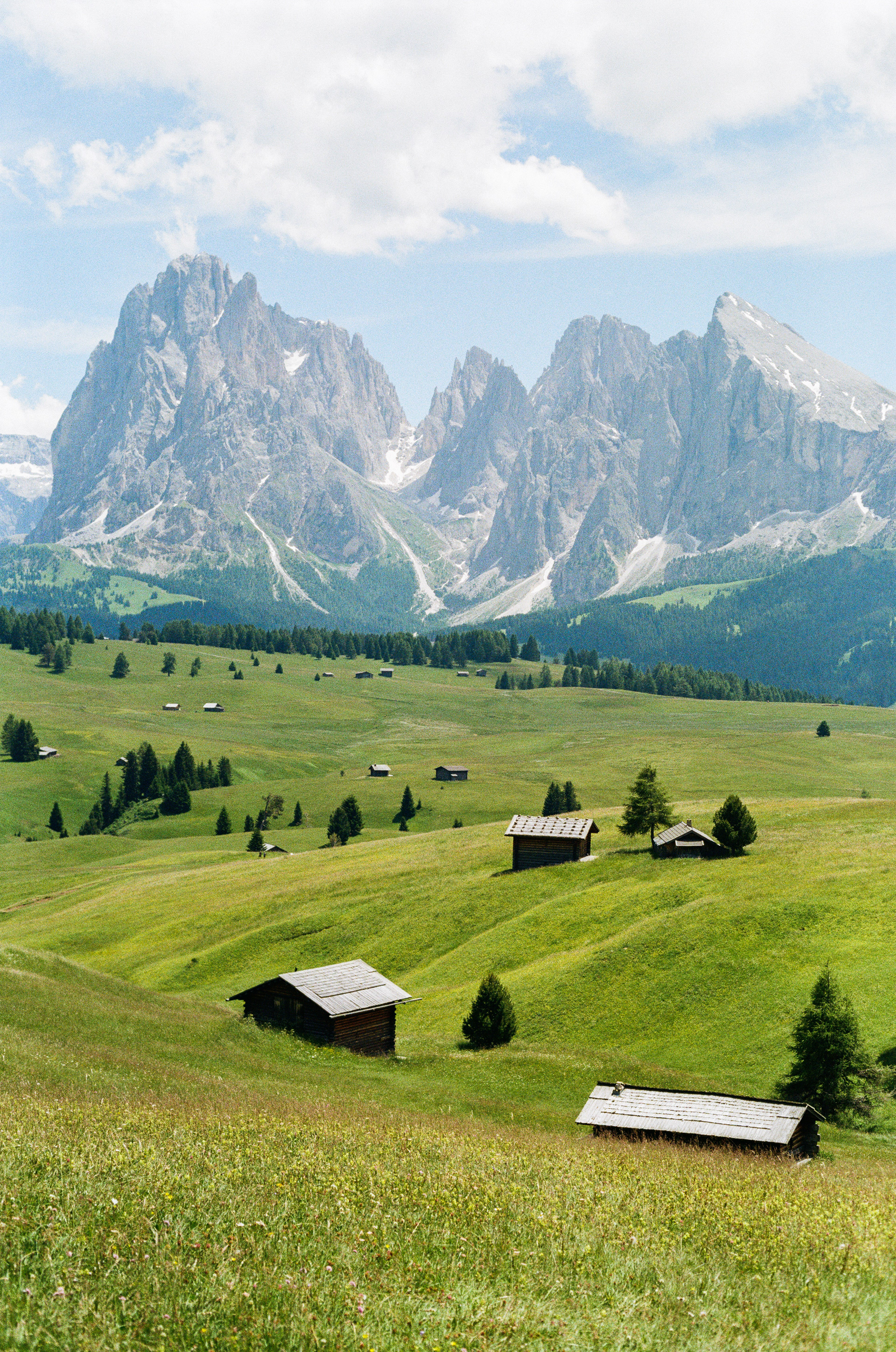 模拟景观丨martin morgenweck-6