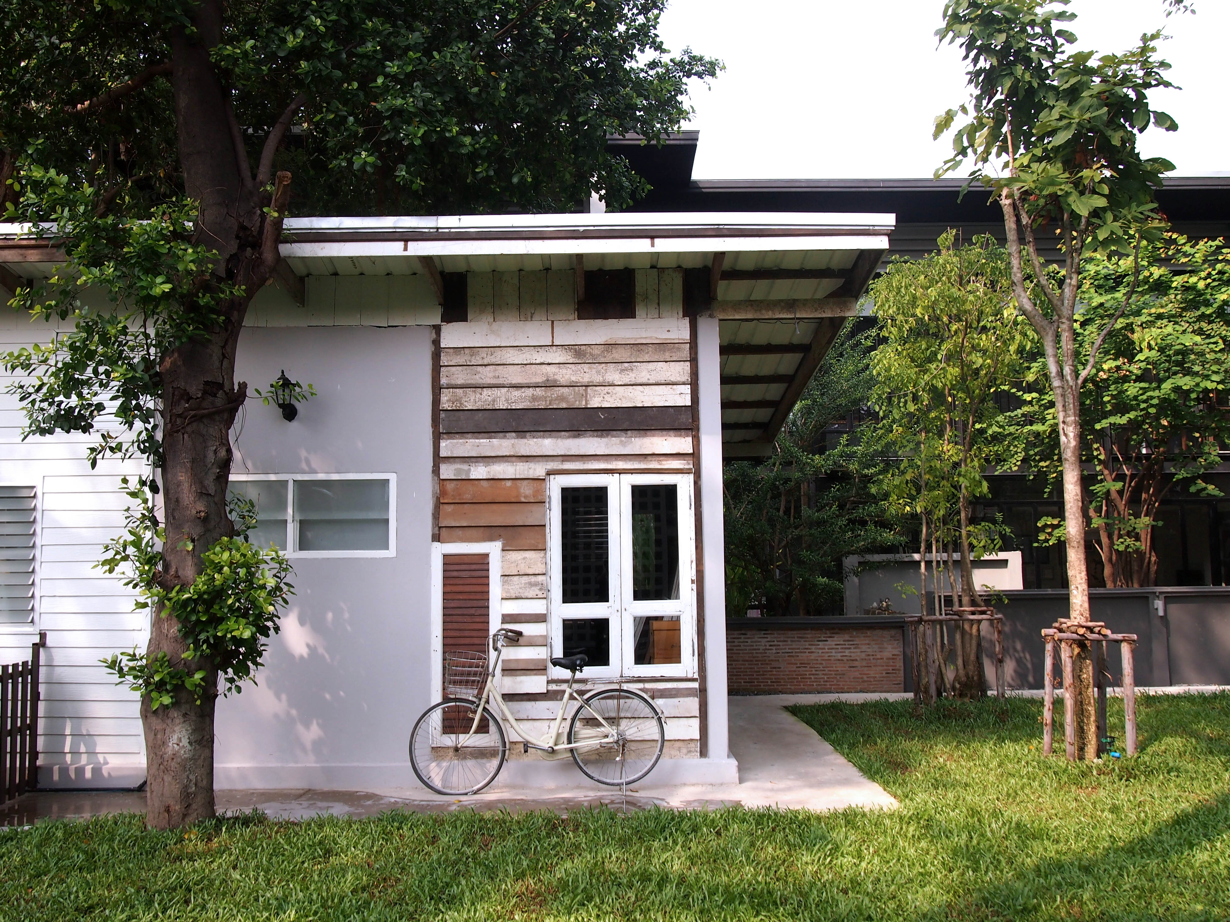 丨อาจารย์ต้นข้าว ปาณินท์（教师稻谷·潘尼）-11