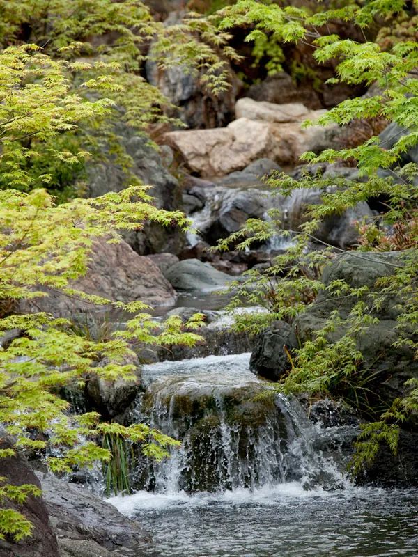 日式庭院的现代演绎——井上刚宏作品欣赏-24