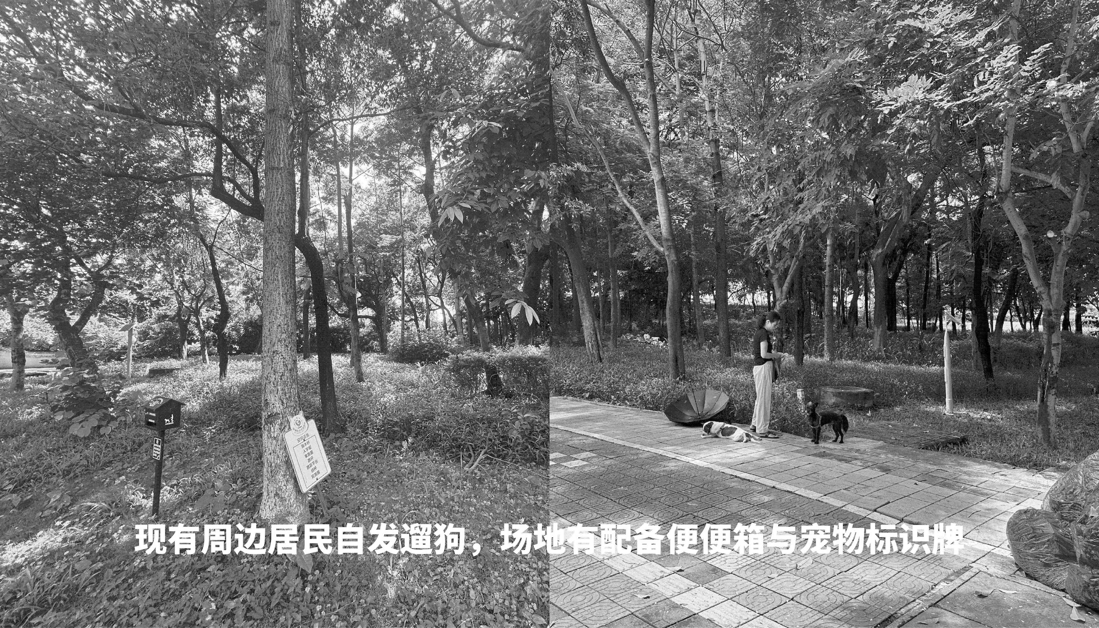 深圳市罗湖泥岗东路宠物友好口袋公园丨中国深圳丨深圳市未名设计顾问有限公司罗湖分公司（WMLA）-18
