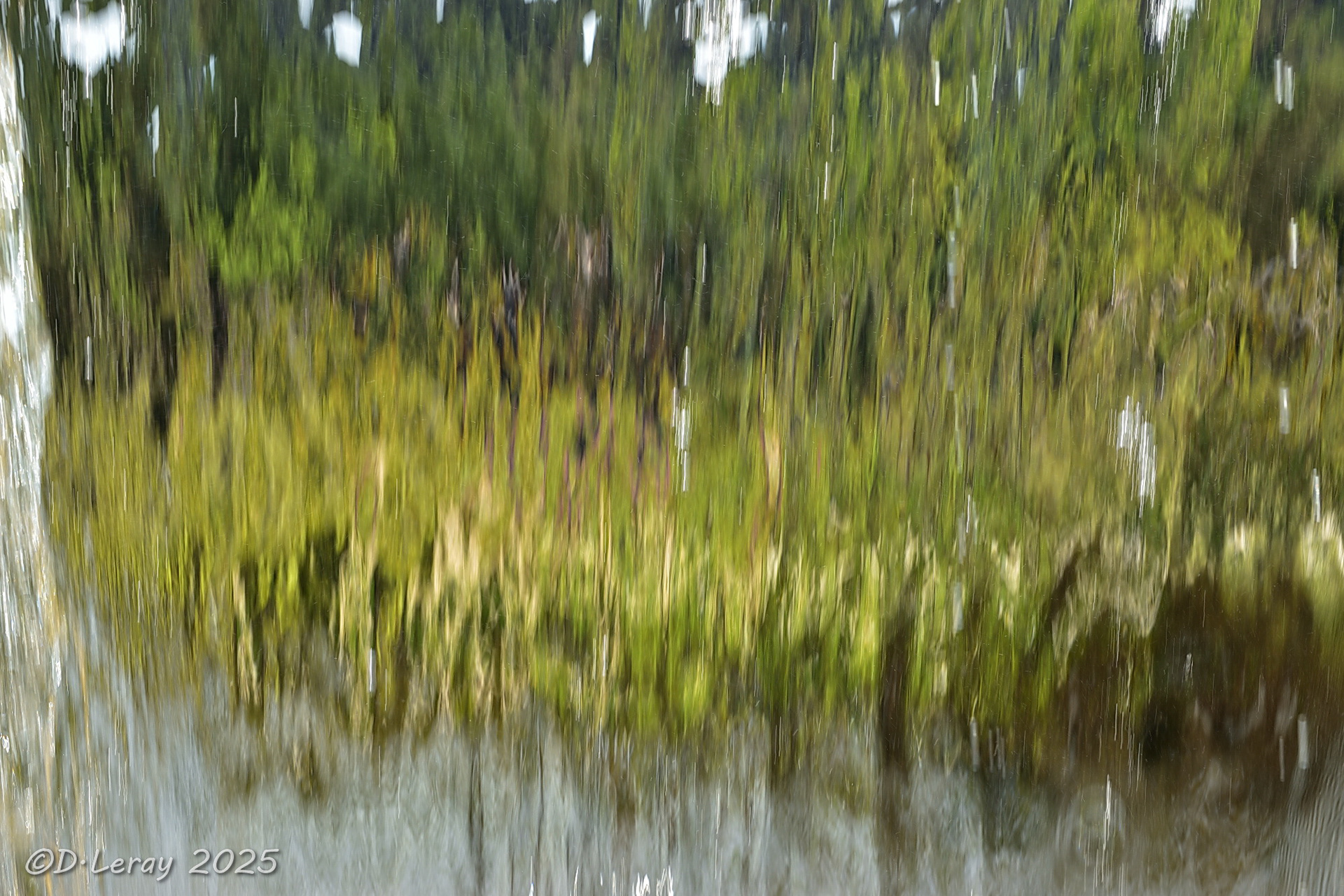 Jardins d'eau Carsac Aillac (24)-11