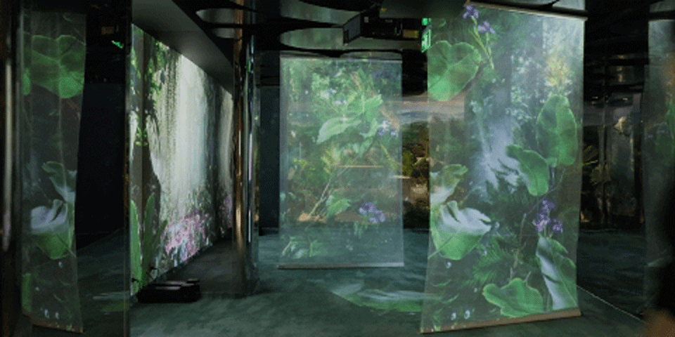 小仙炖鲜炖燕窝北京旗舰店丨中国北京丨立品设计-128