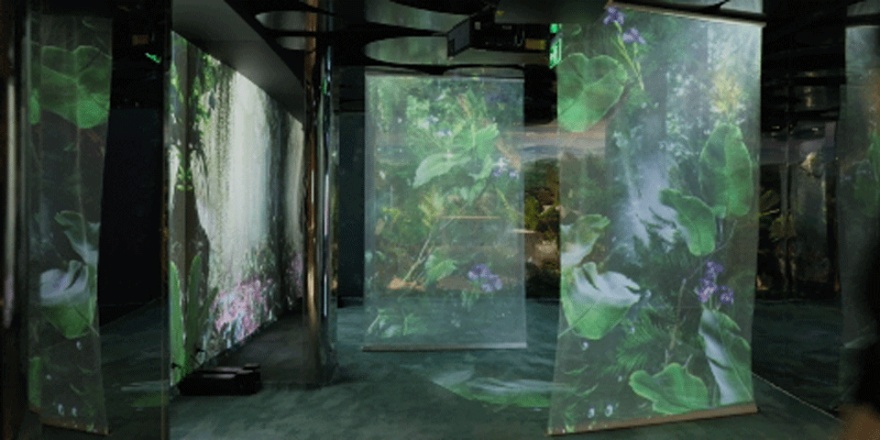 小仙炖鲜炖燕窝北京旗舰店丨中国北京丨立品设计-128