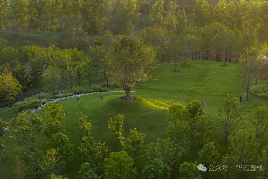 在岛上，过另一种生活丨武汉麓客岛一期一标段&水线公园南区景观工程-9