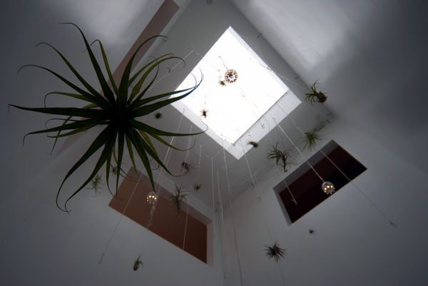 nanou #051 COGITE住宅丨日本千叶丨有限会社COGITE-34