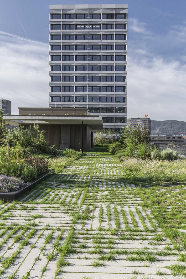 苏黎世大气压丨瑞士苏黎世-5