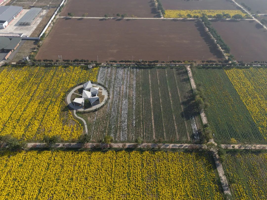 云台山冰菊花田书馆丨中国焦作丨一树建筑工作室-8