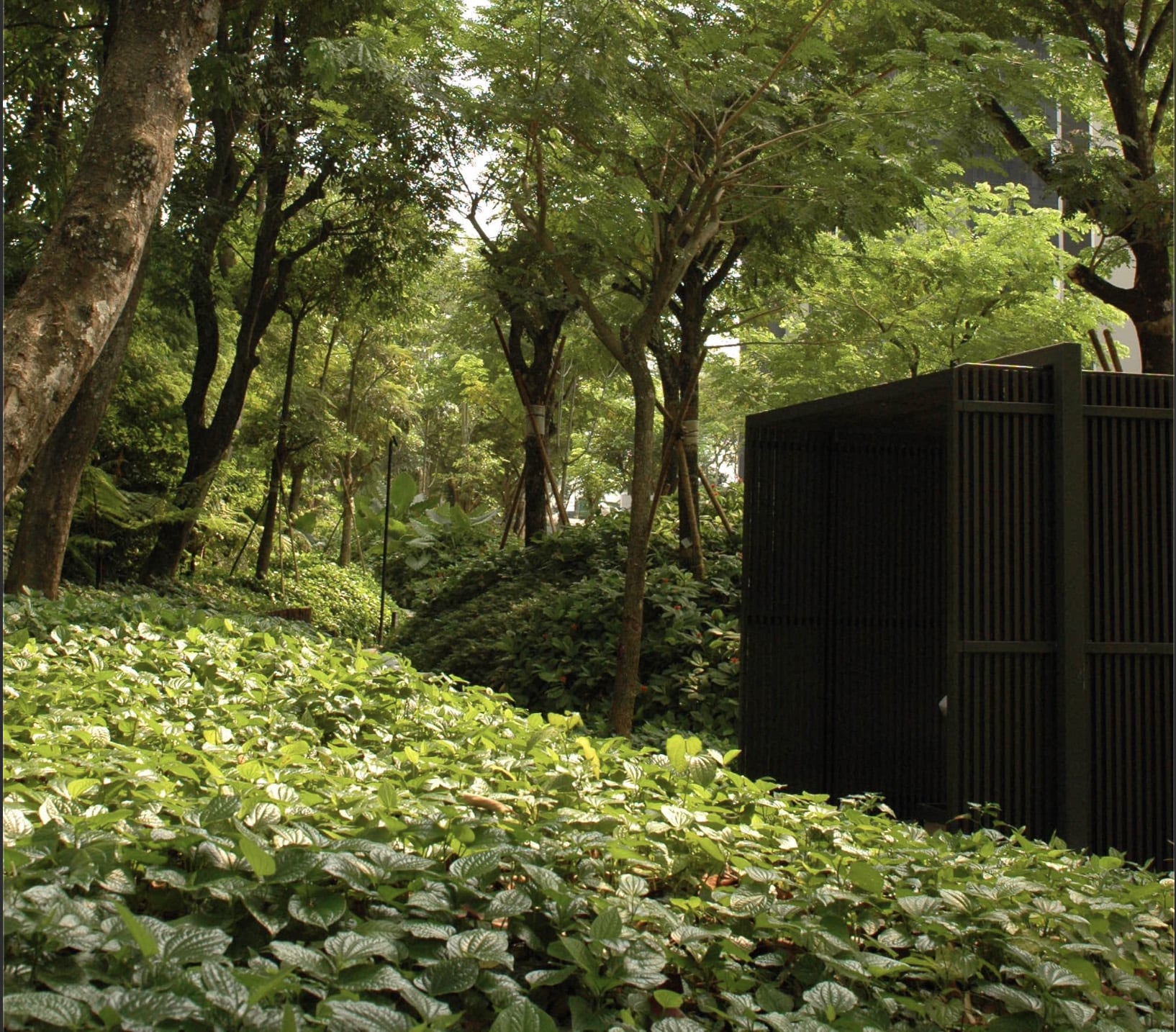 丽墩苑 | 新加坡豪宅的现代景观设计-14